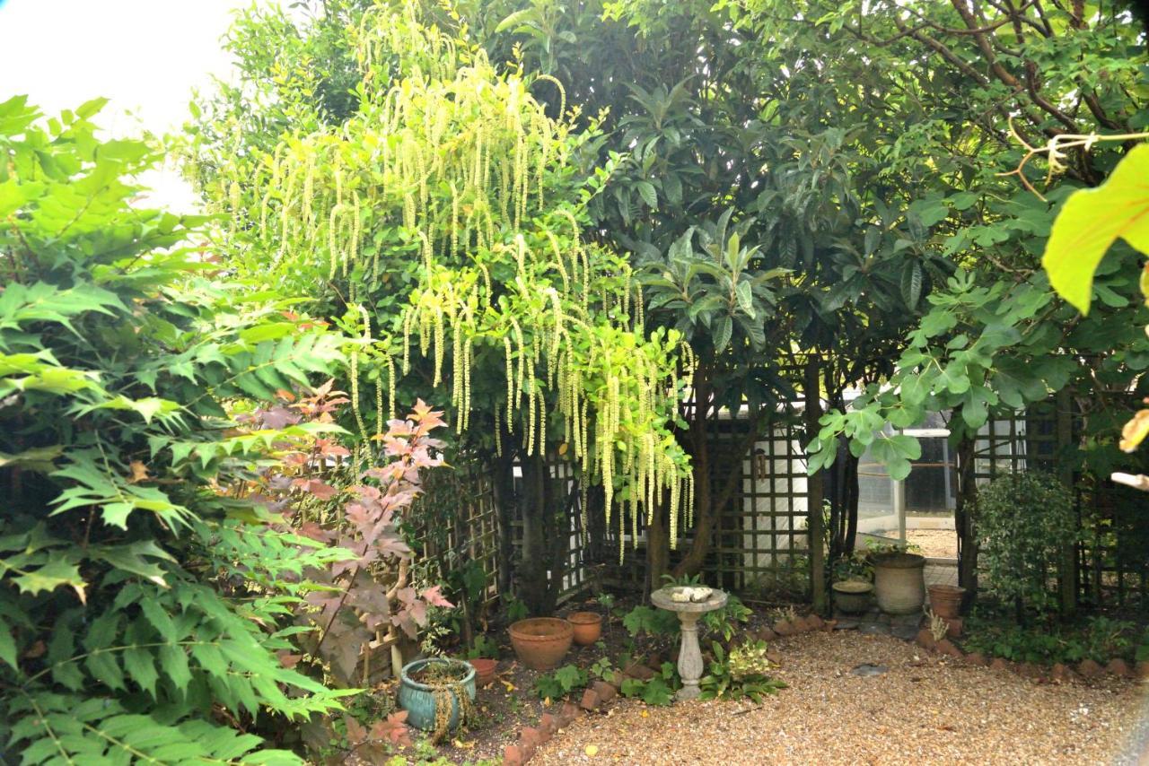 Cosy House, A Train Spotter'S Delight! Vila New Alresford Exterior foto